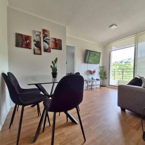 ARRIENDO DEPARTAMENTO AMOBLADO – VIÑA DEL MAR