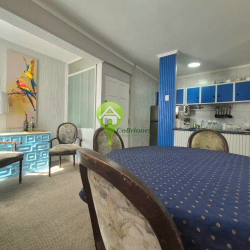 QUINTA VERGARA 2D 1 B 1E 3276 UF AMOBLADO (1)